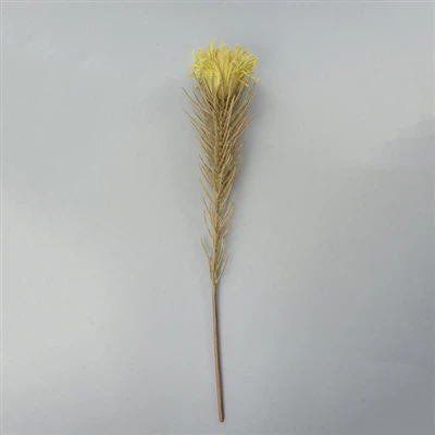 Tekokukkateollisuuskeskuksen kehitystilanne ja tulevaisuudennäkymät