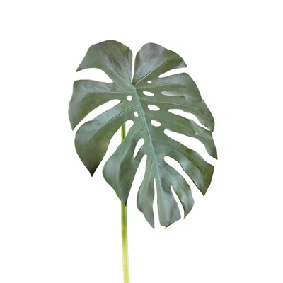 Kuinka valita oikea keinotekoinen kasvi